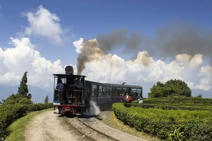 Darjeeling Train Toy