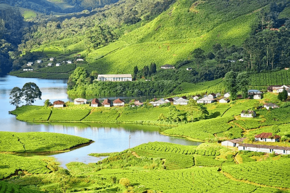 Munnar