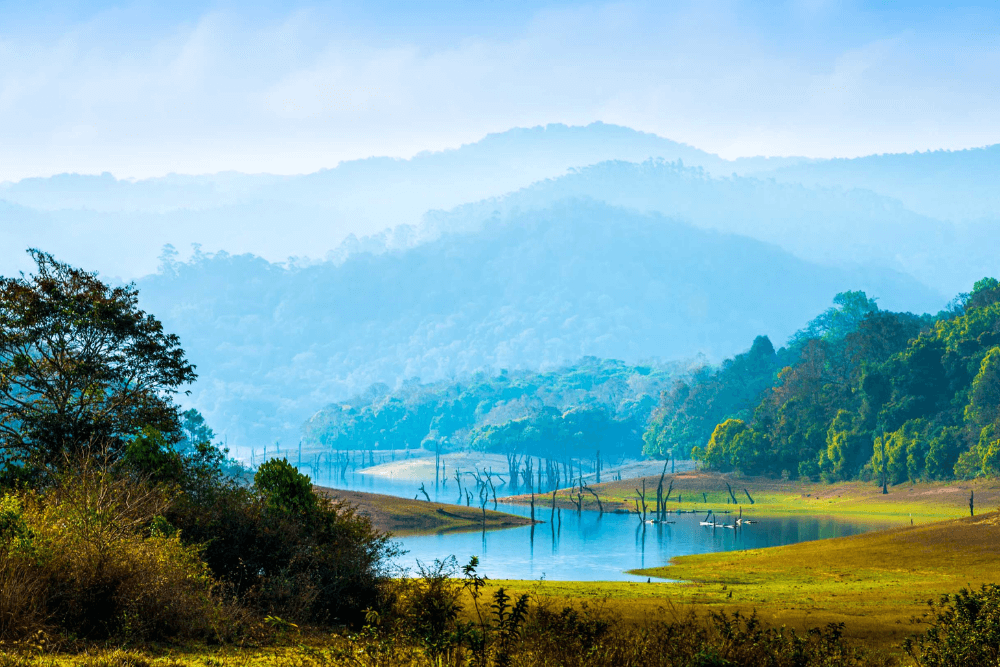 Periyar National Park